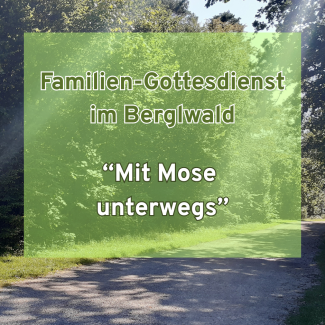 Weg Berglwald